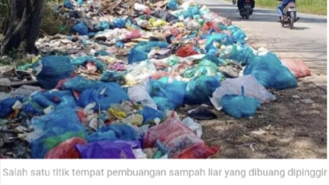 TPS Liar Marak di Pinggir Jalan, DPRD Batam Minta Pengawas DLH Mandul Dipecat